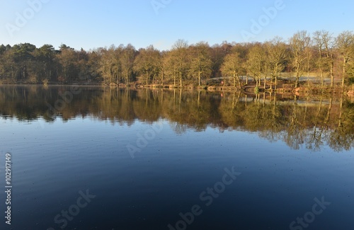  A lake at an English country estate in West Sussex England in Winter