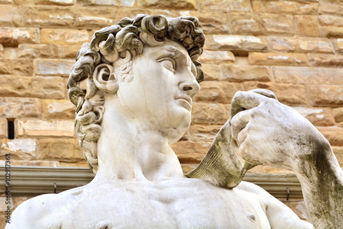 The most famous statue in Florence, David of Michelangelo, Italy