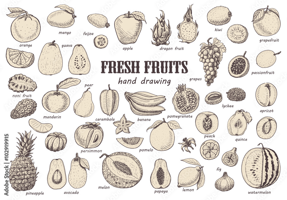 Big set with isolated fruits Big set with isolated fruits
