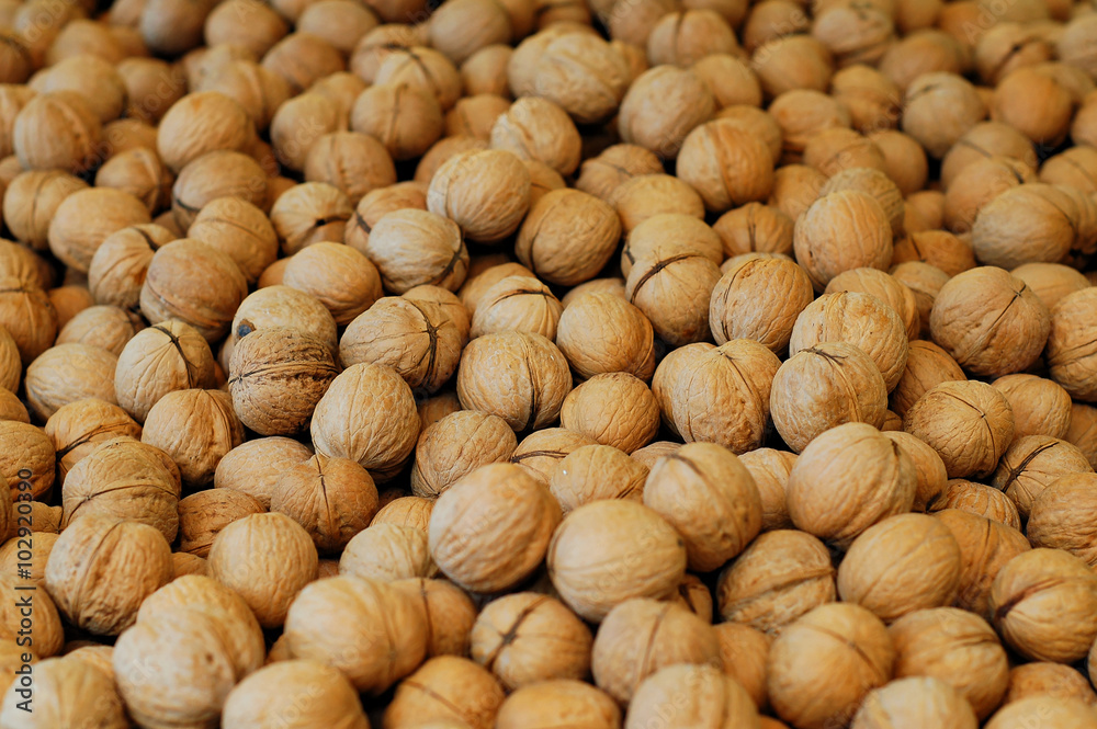 hundrets of walnuts close up
