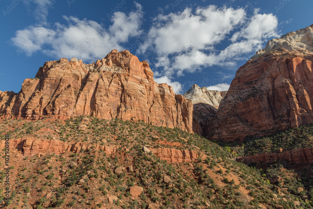 Panoramic view to Zion National Park