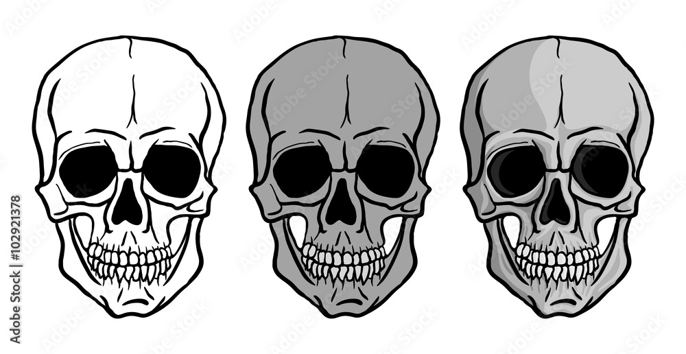 Human Skulls vector set Human Skulls vector set