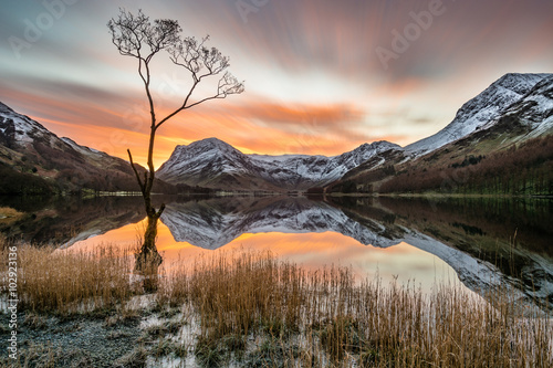 Vibrant orange sunrise with moving clouds and snowcapped mountains reflecting in calm still water with lonely tree in foreground at Buttermere, Lake District, UK.