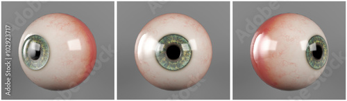 Foto Realistic human eyeballs blue iris pupil in three different sides