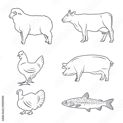 Farm Animals contour set
