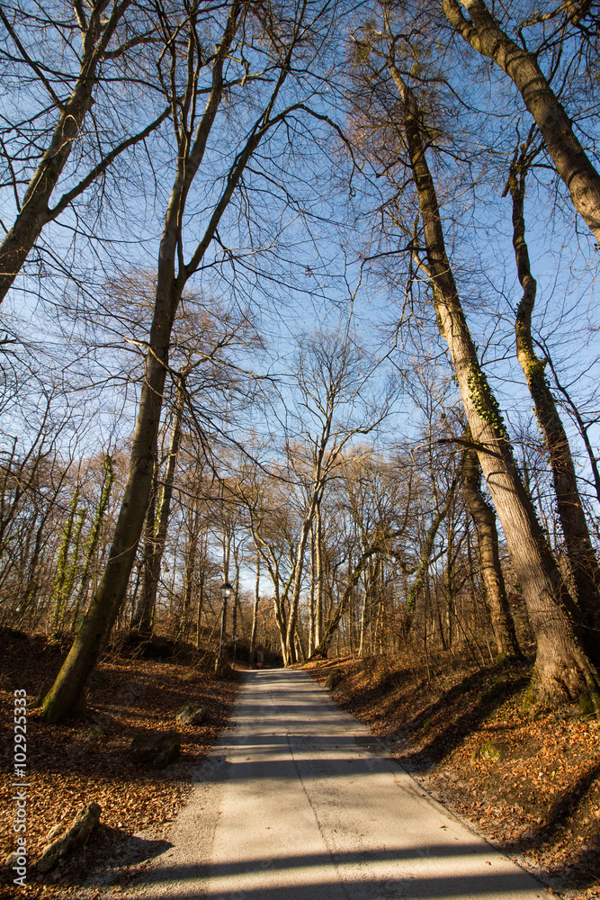 Fototapeta premium Forststraße, Schild, Winter