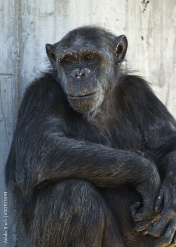 20080512_zoo_Bilderforum_053