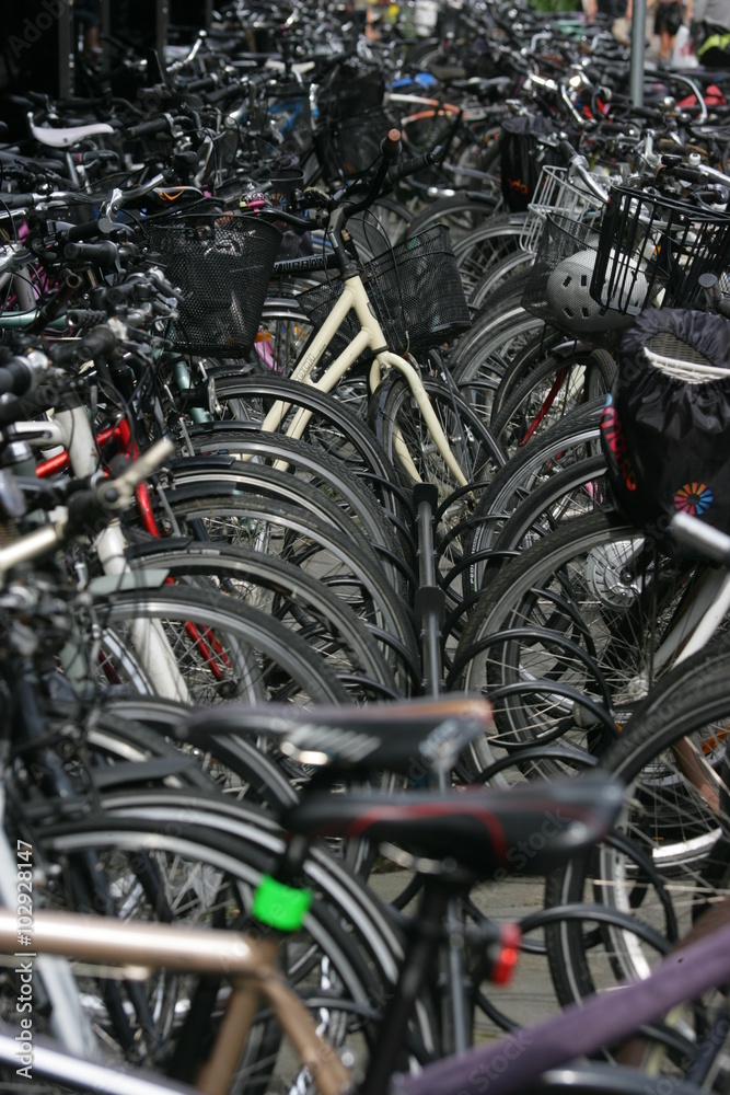 tante biciclette parcheggiate