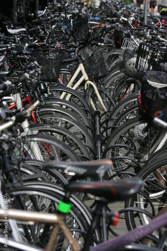 tante biciclette parcheggiate