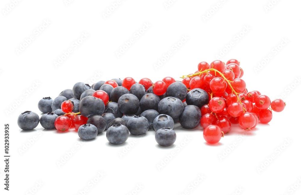 red currant and blueberries red currant and blueberries