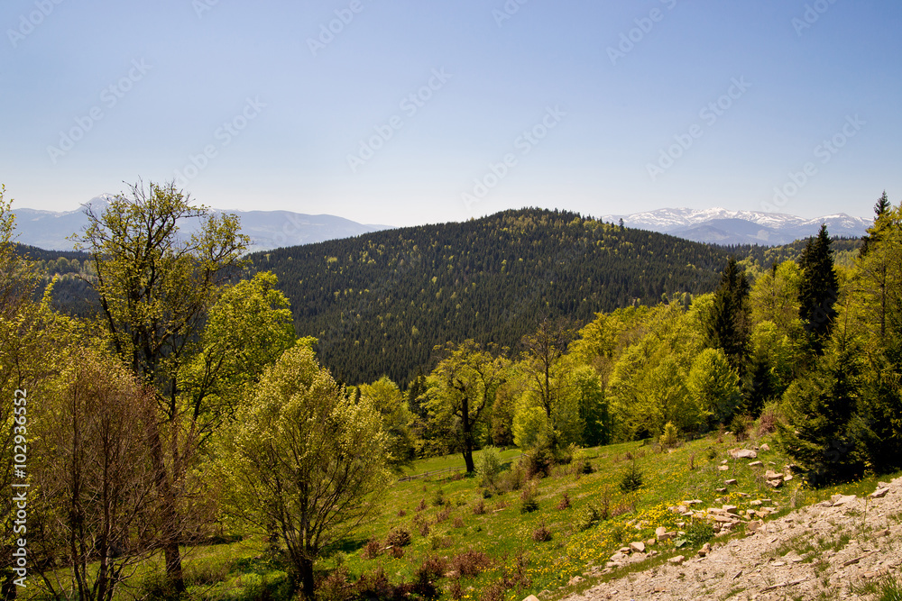 mountain landscape