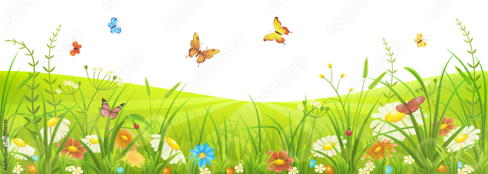 Naklejka Kwiatowy letni lub wiosną łąka z zielonej trawy, kwiatów i motyli