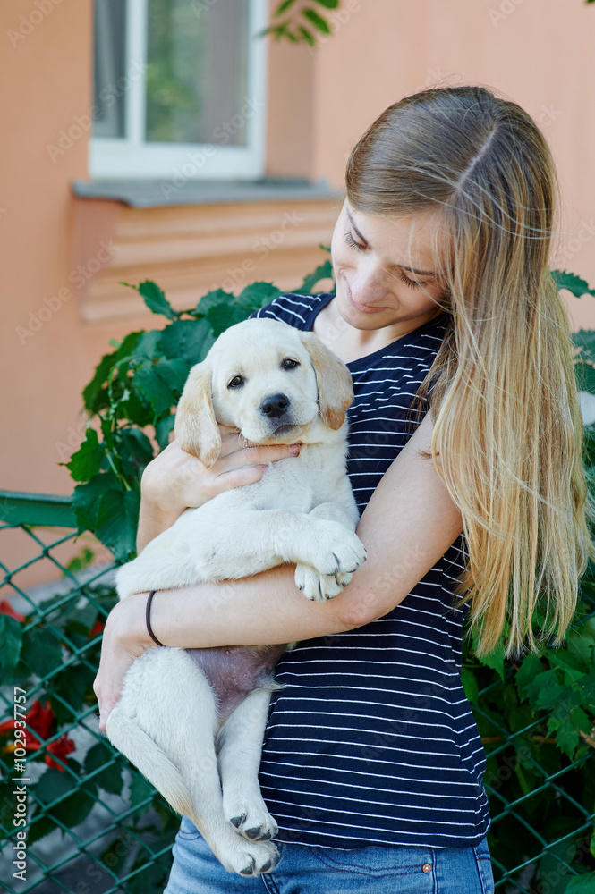 Portrait of Young woman holding on hands puppy Labrador Portrait of Young woman holding on hands puppy Labrador
