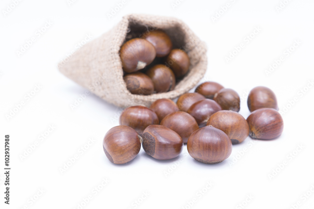 Fresh Chestnuts in yute isolated on white Fresh Chestnuts in yute isolated on white
