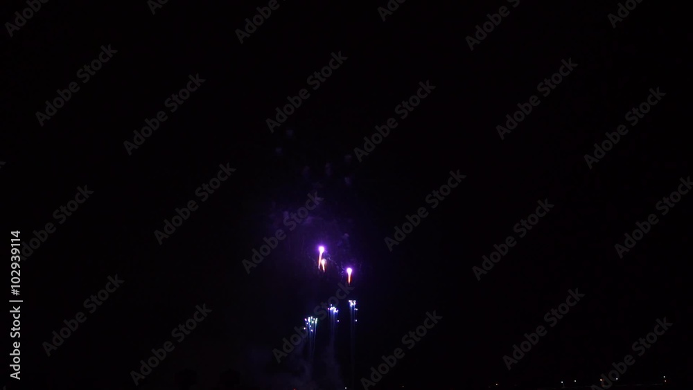 Tsuchiura All Japan Fireworks Competition 土浦全国花火競技大会