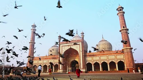Locked-on shot of birds flying in front of a mosque, Jama Masjid, Delhi, India