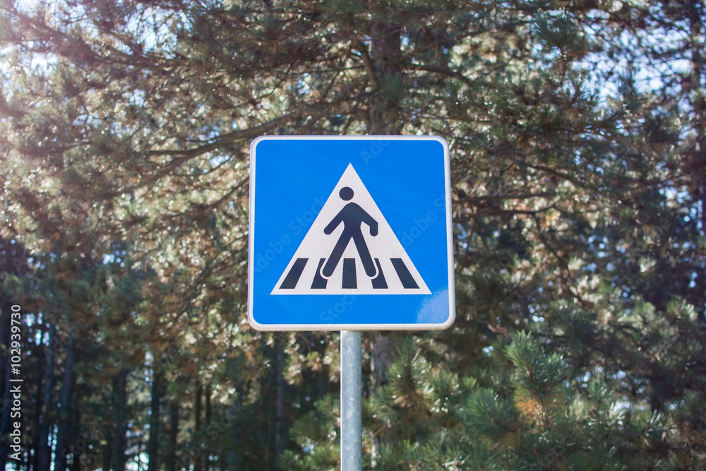pedestrian sign on the road