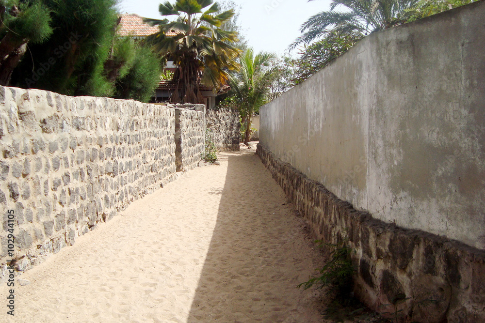Stone pathway in garden of africa