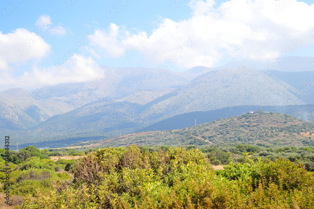 Summer landscape in Crete.