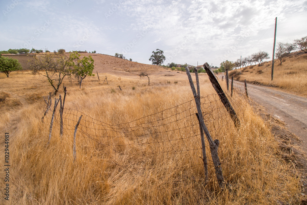  dry landscape in Martim longo, Portugal