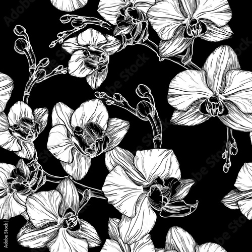 Fototapeta Naklejka Na Ścianę i Meble -  black and white seamless pattern with hand drawing orchid flower