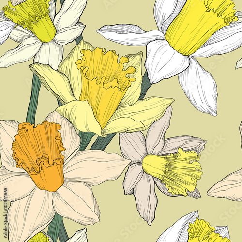 Fototapeta Naklejka Na Ścianę i Meble -  jonquil daffodil narcissus seamless pattern