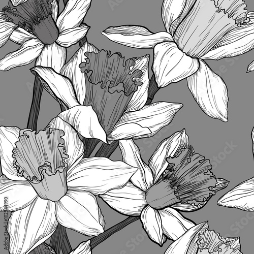 Fototapeta Naklejka Na Ścianę i Meble -  vector seamless floral monochrome  pattern with narcissus