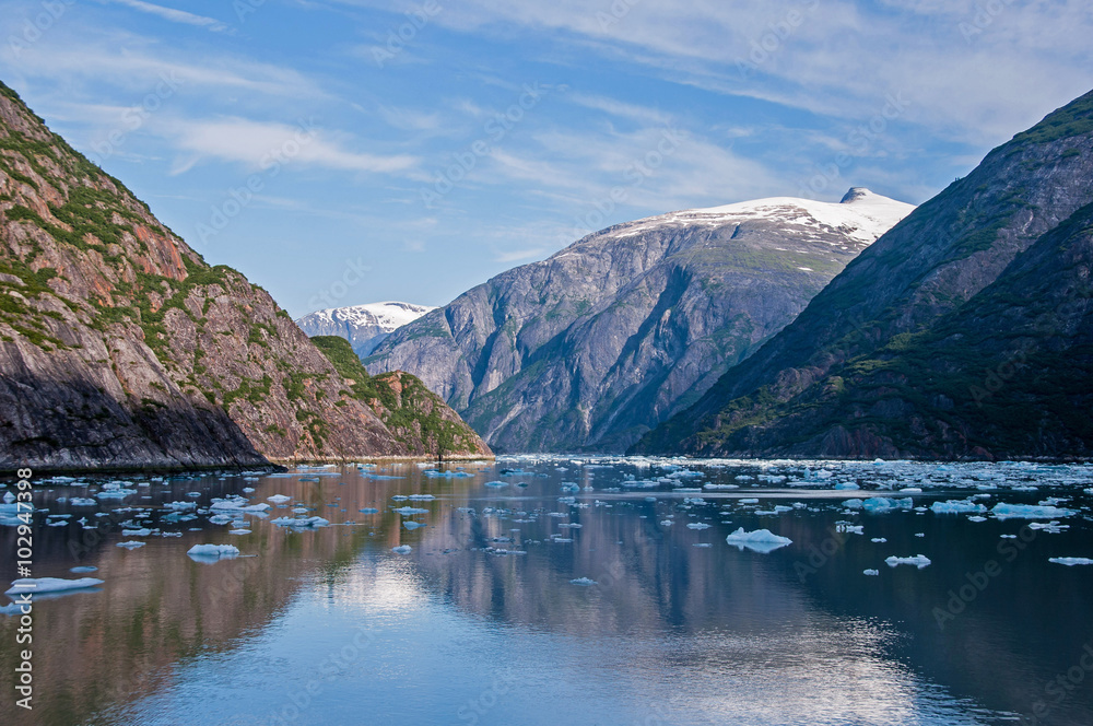 Icebergs in Tracy Arm Fjord in Southeast Alaska
