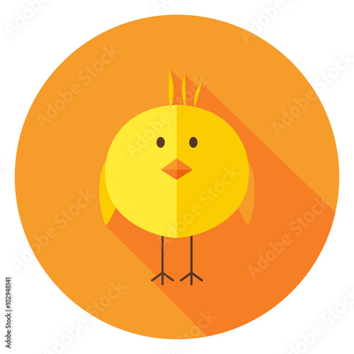 Yellow Chick Circle Icon with long Shadow