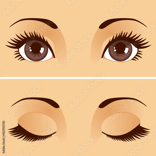 Closeup detail illustration of beautiful female brown eyes with eyelids open and closed