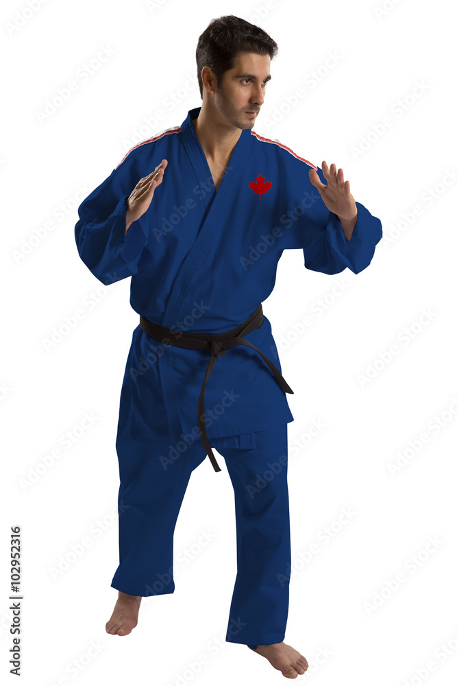 Naklejka premium Canadian judo fighter