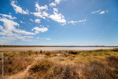Wide view of the Ria Formosa marshlands located in the Algarve, Portugal.