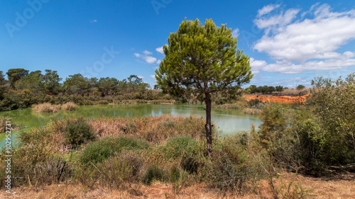 Wide view of a lake for birdwatching in the Ria Formosa marshlands  Portugal.