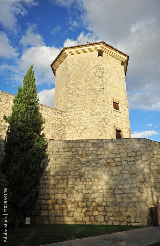 Lucena, Torre en la que estuvo preso el rey Boabdil de Granada, Castillo del Moral, Andalucía, España