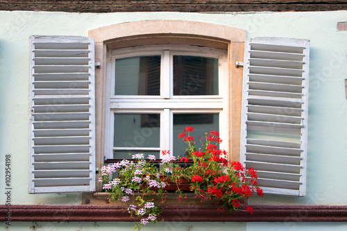 Window and flowers