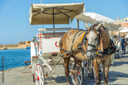 Horse carriage in the port of Chania, Crete