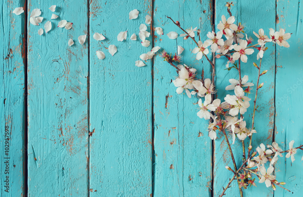 Fototapeta premium abstract image of spring white cherry blossoms tree on blue wooden table