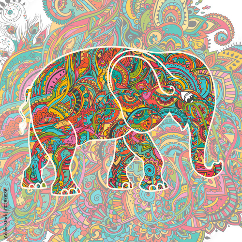 beautiful card vector