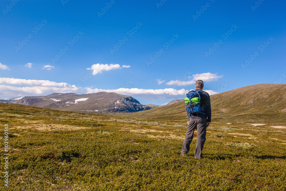 hiker with backpack travelling in Norway mountains Dovrefjell
