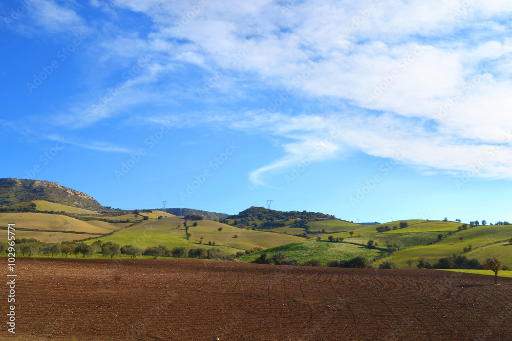 Paesaggio con terreno arato in primo piano, delle colline sullo sfondo e le nuvole nel cielo azzurro