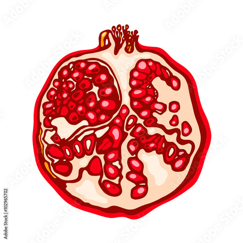 Pomegranate isolated on white background. Fruit.