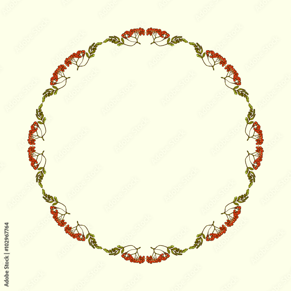Frame for your design with berries of mountain ash. Frame for your design with berries of mountain ash.