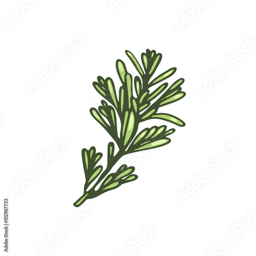 Sprig of rosemary.