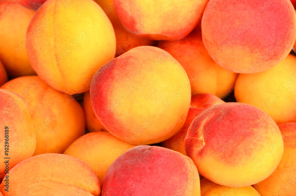 Apricot, close up