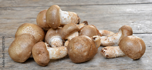 Mushroom on a wooden floor