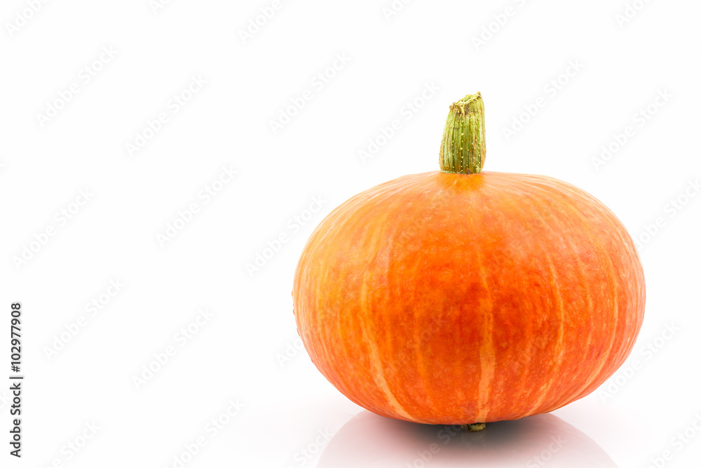 Obraz premium Fresh orange pumpkin.