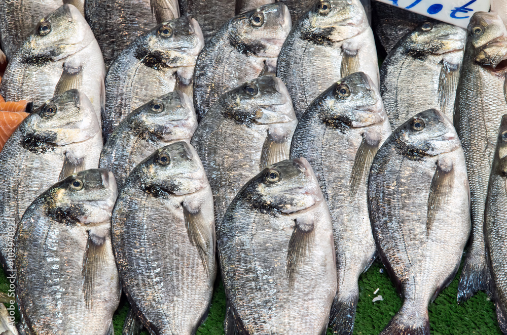 Fresh bream for sale at a market in Turkey Fresh bream for sale at a market in Turkey