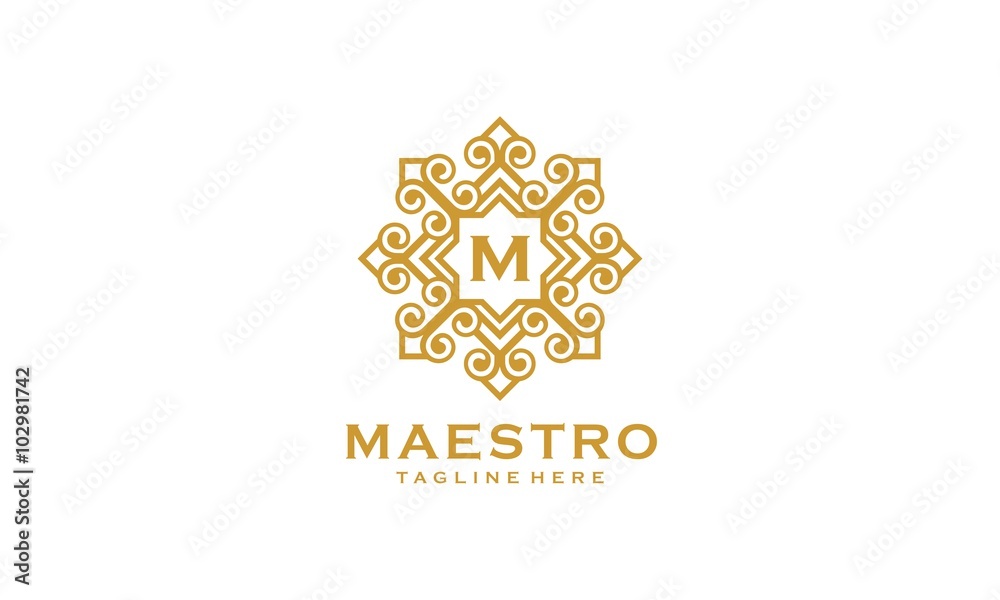 Maestro Logo Maestro Logo