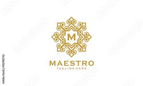 Maestro Logo