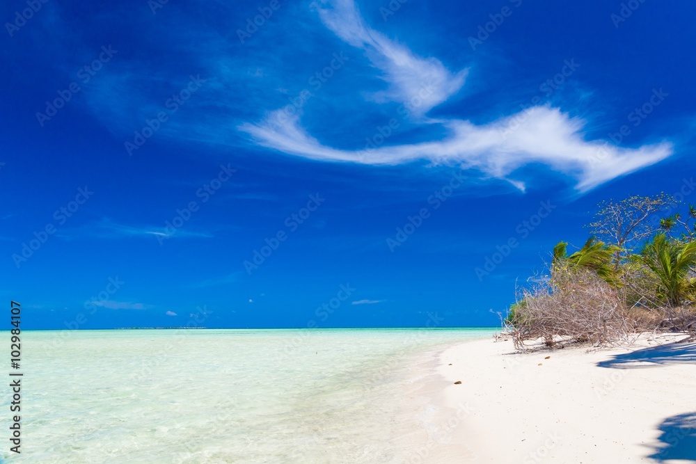 Fototapeta premium day tropical sea